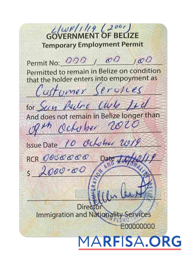 Blank Belize work visa real example